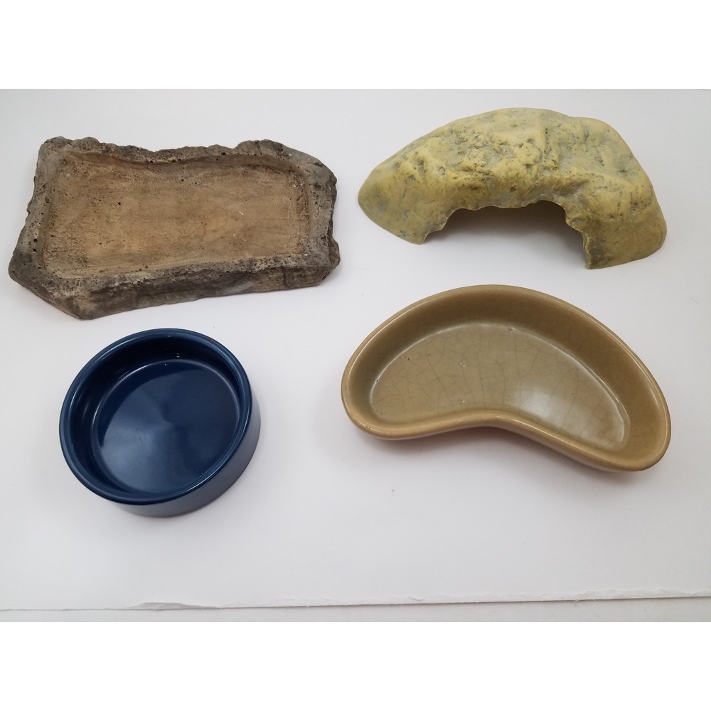 Reptile Small Hideaway and Three Feeding Food Feeding Dishes Pets Lizards
